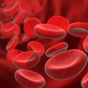 Co je krevní hemolýza a proč k němu dojde?