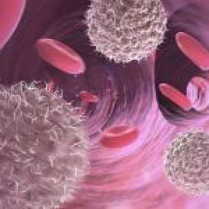 Jaký je leukocytóza a co je nebezpečné?