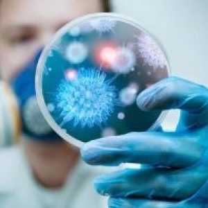Infekce cytomegalovirem - míra anti-CMV IgG a nebezpečí viru