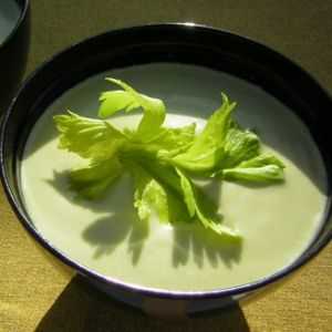 Diet Soup Celer: hlavní jídla recepty