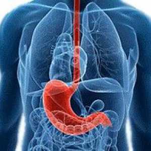 Dietní strava v gastrointestinálních chorob: recepty