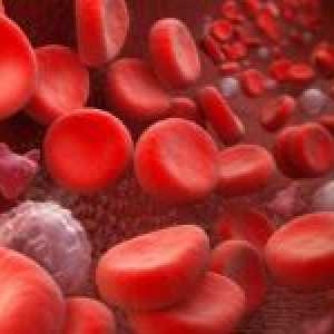 Hematokritu v krvi za normálních podmínek a důvody pro jeho změnu