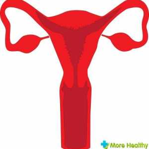 Hyperplazie endometria: příčiny hlavních příznaků, škrábání