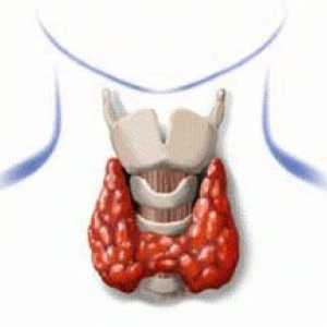 Hypothyroidism - pomalý a zákeřný zabiják