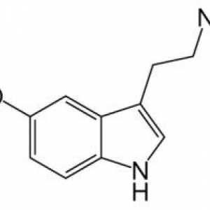 Hormon serotoninu