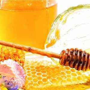 Účinná léčba žaludku aloe a medu