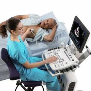 Echokardiografie (ultrazvuk srdce): indikace, typy hospodářství, dekódování