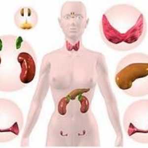Endokrinní poruchy u žen: Symptomy, Diagnóza