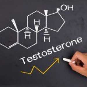 Jak rychle a efektivně snížit hladinu testosteronu?