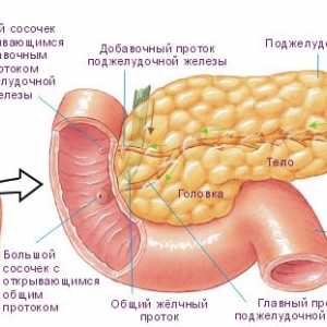 Jak se k léčbě pankreatické steatózu?