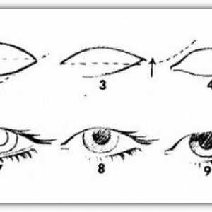 Jak kreslit tužkou oční
