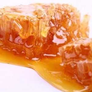 Kolik si můžete mít den medu, aby nedošlo k poškození zdraví a spálit sacharidů?
