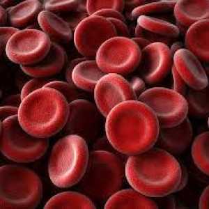 Jak ke zvýšení krevních destiček v krvi?