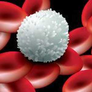 Jak se zvýšení úrovně bílých krvinek