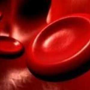 Jak ke zvýšení krevních destiček o lidových prostředků?