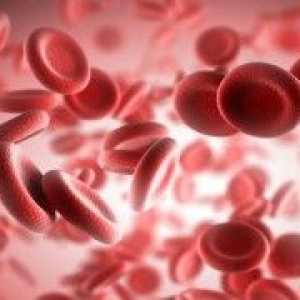 Co indikátory v krevních lymfocytů u žen považuje za normální? Lymfocytóza a lymfopenie.