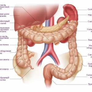 Symptomy a léčbu nádorů v tlustém střevě