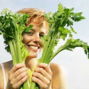 Spíž přírody: vlastnosti celeru šťávy