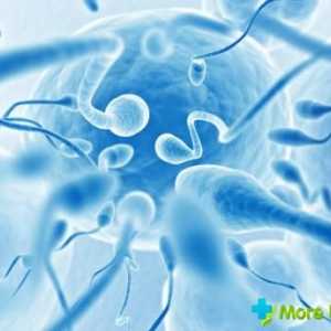 Jak zvýšit pohyblivost spermií: základní techniky