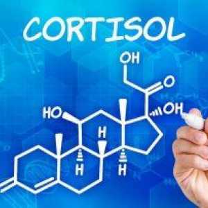 Kortizol v krvi: diagnózy a míra hormonu