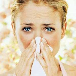 Jak porazit alergii sezónu?