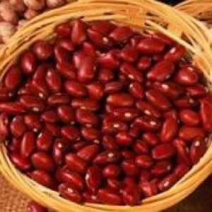 Červené fazole: užitečné vlastnosti