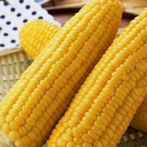 Corn hedvábí - léčivé účinky a kontraindikace, výhody a poškozuje