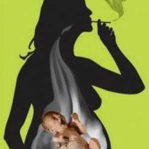 Kouření během těhotenství - osobní nebo zdravotní a sociální problém?