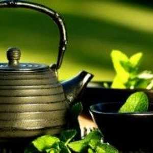 Léčba bez léků: čaj z mastitidy
