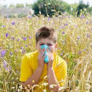 Léčbu a prevenci alergické rýmy