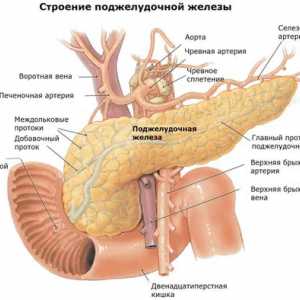Pankreatu Léčba