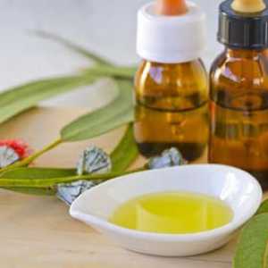 Zacházet krku esenciální oleje z eukalyptu