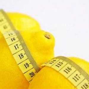 Lemon stravy na hubnutí: hrubý nabídku a recepty