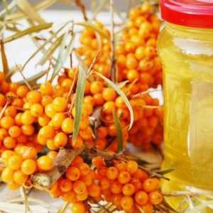 Nejlepší recepty medu a rakytníku směsi pro každou příležitost