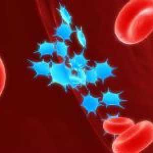 Způsoby zvyšování hladiny krevních destiček v krvi