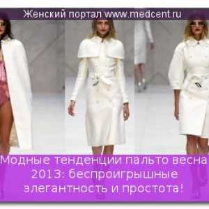 Módní trendy jaro 2013 srst: win-win elegance a jednoduchosti!