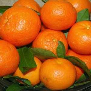Můžeme mandarinky s diabetem 2. typu?