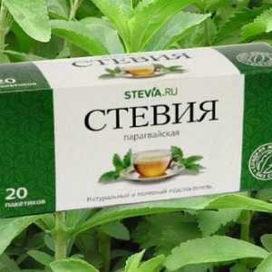 Mohu pít stevia v diabetes mellitus: přínosy a škody