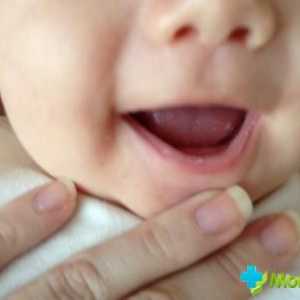 Kukuřičný okraj kojence