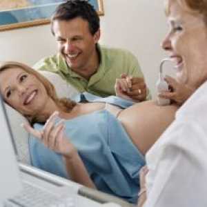 Na co týden do 3 ultrazvuk: kontrolu časování a správný vývoj plodu