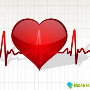 Normální lidské srdce: cyklická a odchylky