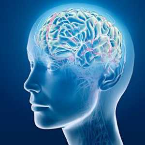 Fokální změny substance dyscirculatory povahy mozku