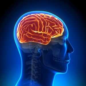 Relativní a absolutní kontraindikace MRI mozku
