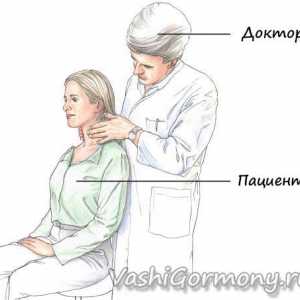 Prohmatání štítné žlázy nebo zručných rukou doktora endokrinolog střežit své zdraví