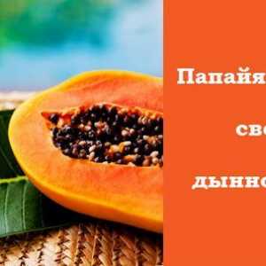 Papaya - užitečné vlastnosti neobvyklých plodů