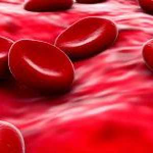 Norma hemoglobin v krvi a jeho funkce