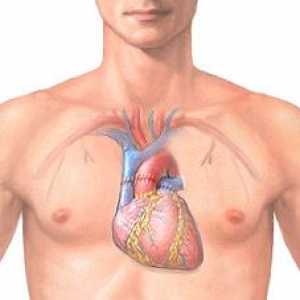 Transplantace srdce: povaha a realita provozu, čtení, hospodářství, prognóza