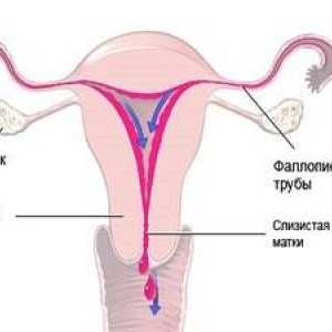 První příznaky menstruace u dívek 47