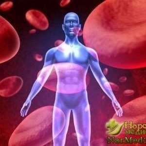 Proč muži trpí hemofilií častěji než ženy, a to může dělat tradiční medicíny