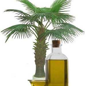 Užitečné a škodlivé vlastnosti palmového oleje